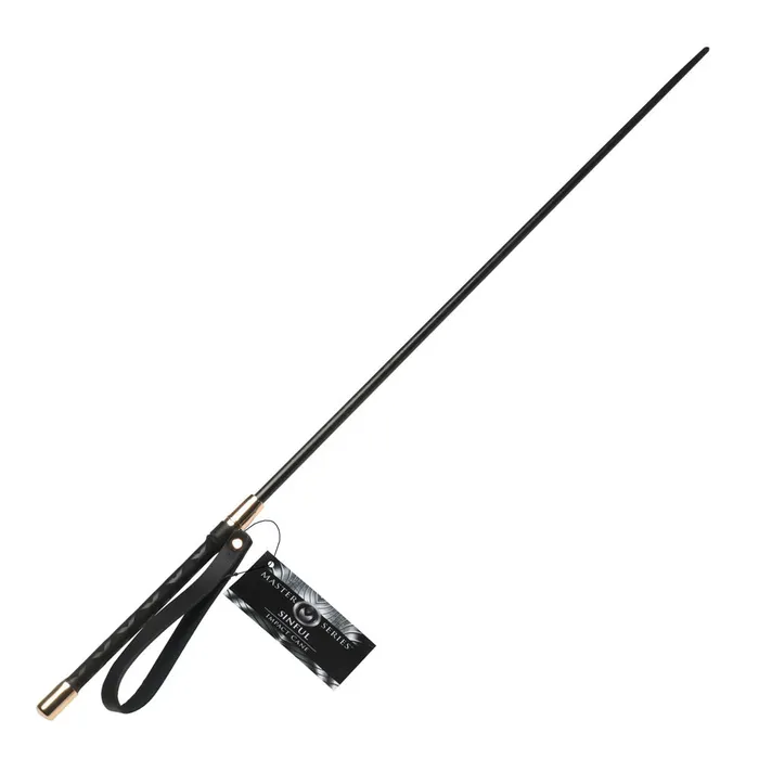 Anal XR Brands Master Series Sinful Impact Cane Black Plastic Cane Whip