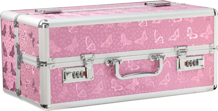 Lockable Large Vibrator Case Pink BMS Vibrators