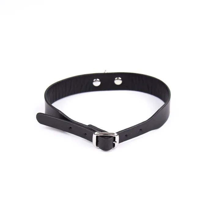 Male Sex Toys Plesur Company Collar D Ring Slave Fashion Collar Vegan Leather 5 color options