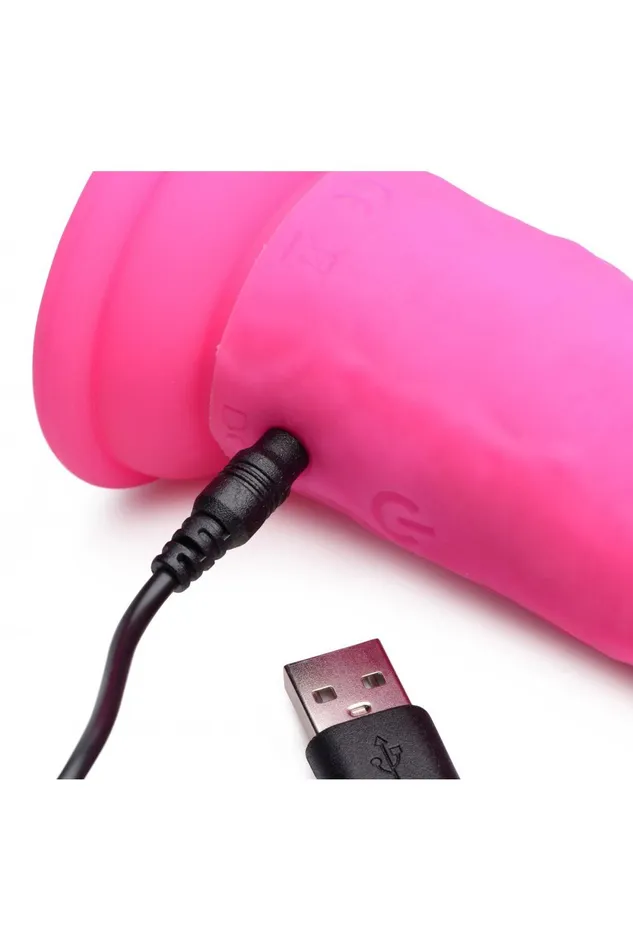 Power Player 28X Vibrating Silicone Dildo with Remote Sd Female Sex Toys