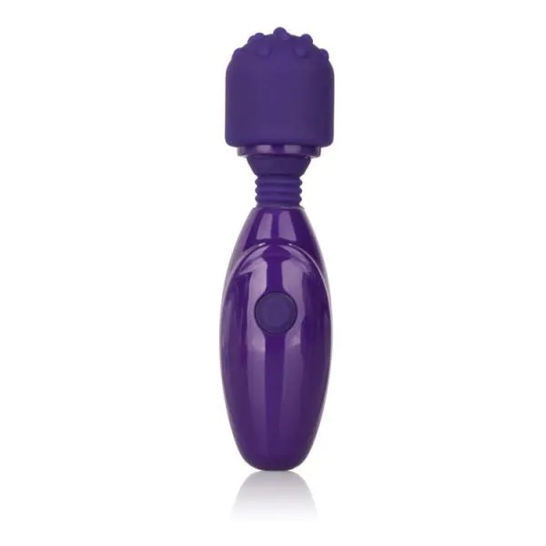 Tiny Teasers Nubby Purple Wand Massager Tiny Teasers Vibrators