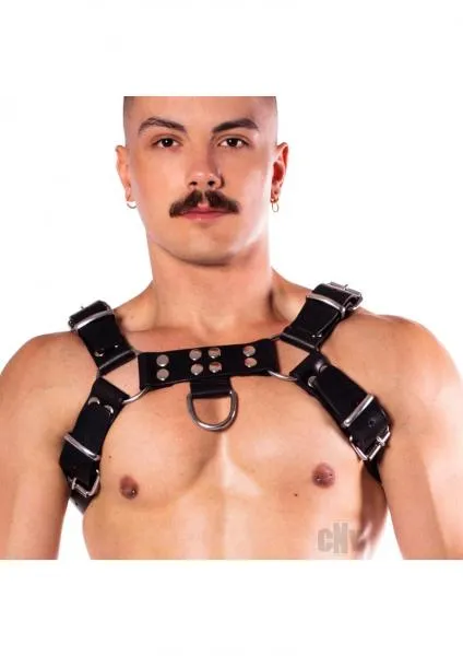 Vibrators Seductucom Prowler Red Butch Harness Prem Blk Sm